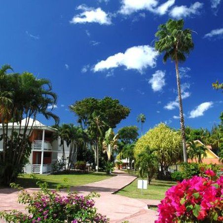 Le Marouba Hotel Le Carbet Exterior foto
